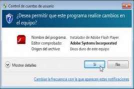 Adobe Flash Player for IE 15