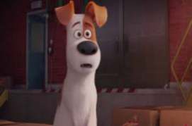 The Secret Life of Pets 2016