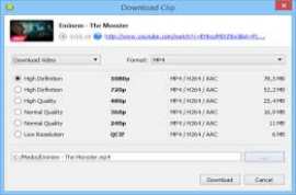 4K Video Downloader