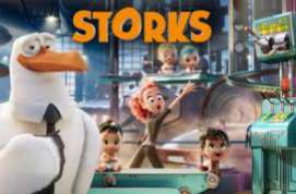 Storks Kd 2017