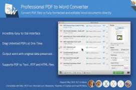 Convert PDF to Word 3