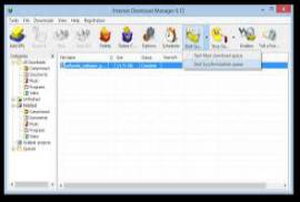 Internet Download Manager