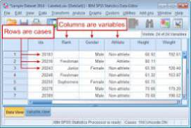SPSS